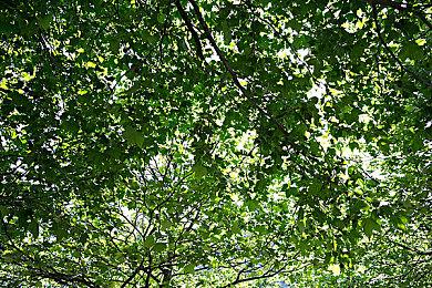 《天国：拯救2》中国区销量突破10万 沉浸式中世纪体验再创佳绩